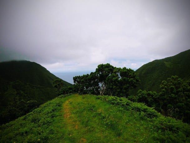 São Jorge Island, Azores, while walking to Fajã de Santo Cristo.