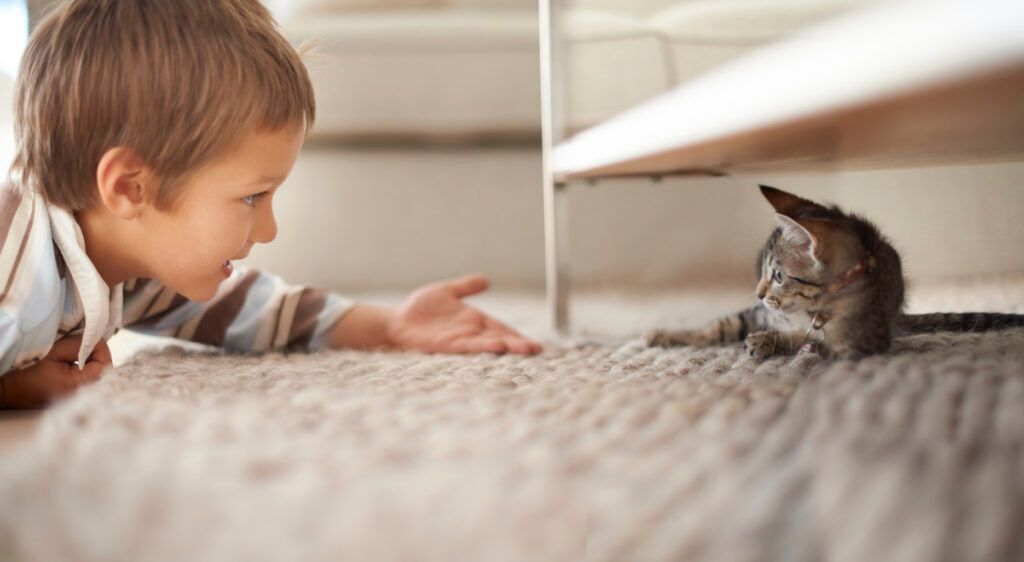 poupar nas despesas de veterinário