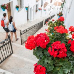 Como é tributado o aluguer de alojamento local