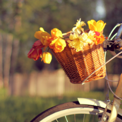 5 propostas para o fim-de-semana