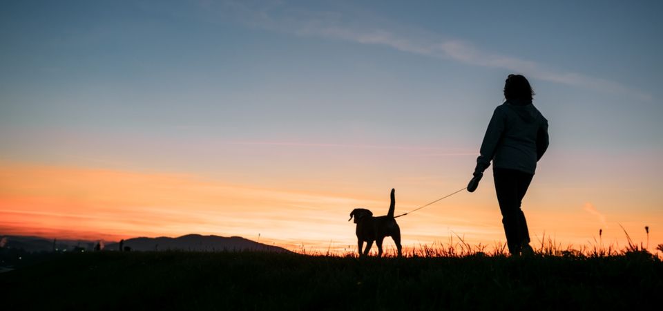 Lixo no chão ou dejetos de animais vão dar multa no Porto