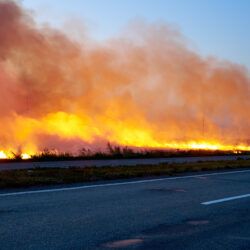 Incêndio na estrada: o que fazer?