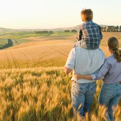 Foram para o campo e por lá ficaram