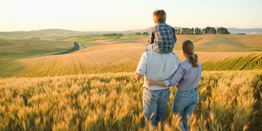 Foram para o campo e por lá ficaram