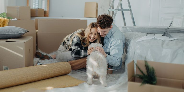 Jovem casal com cão. Decidiram vender a casa e já pediram a certidão permanente predial.