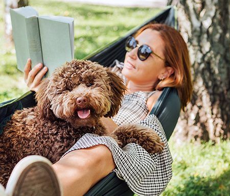 8 dicas para passar férias com animais de estimação