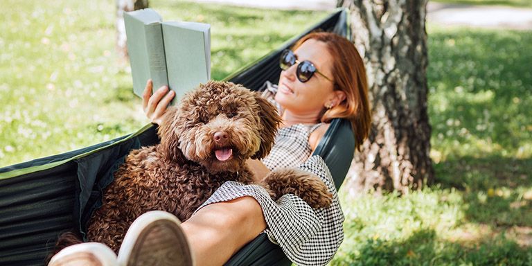Férias com animais