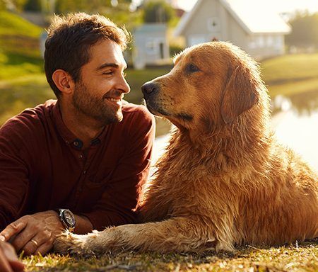 Como proteger os animais durante uma catástrofe natural