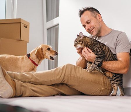 Animais de estimação em condomínios: o que diz a lei?