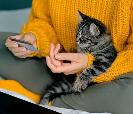 Como poupar nas despesas com animais de estimação