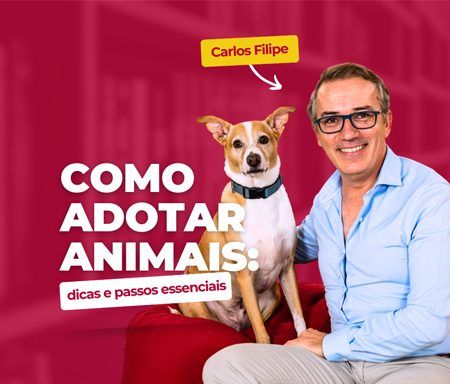 Como adotar animais: dicas e passos essenciais