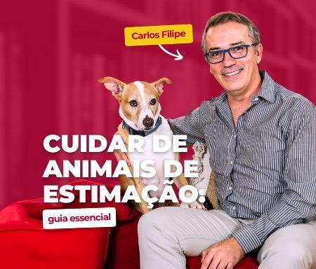 Cuidar de animais de estimação: guia essencial