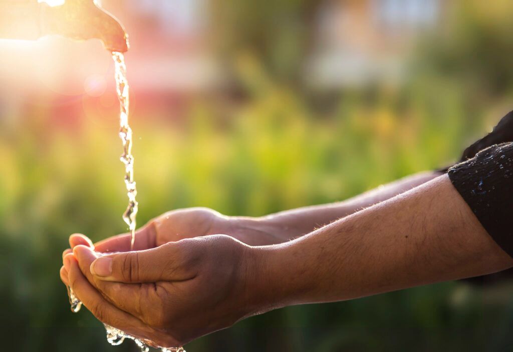8 formas de poupar água, dentro e fora de casa