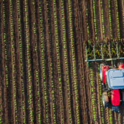 Agricultura cresce há cinco anos mais do que o resto da economia