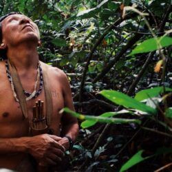 Porque é que a Amazónia é importante?