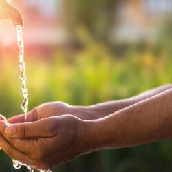 Oito formas de poupar água, dentro e fora de casa